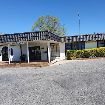 Tally Ho Motor Inn テンターフィールド エクステリア 写真